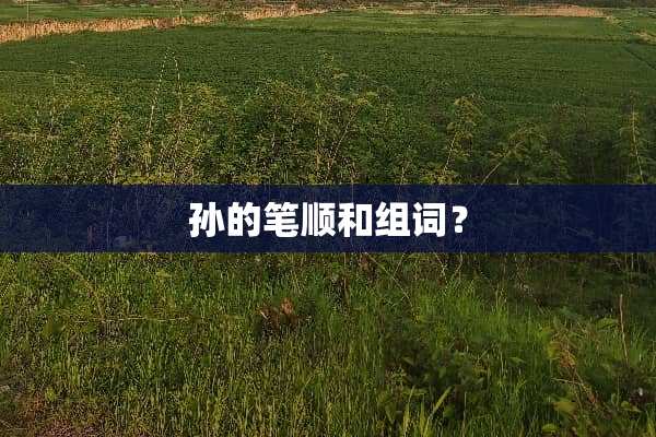 孙的笔顺和组词？