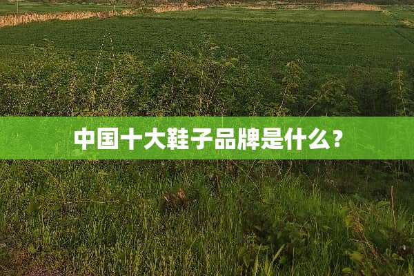 中国十大鞋子品牌是什么？