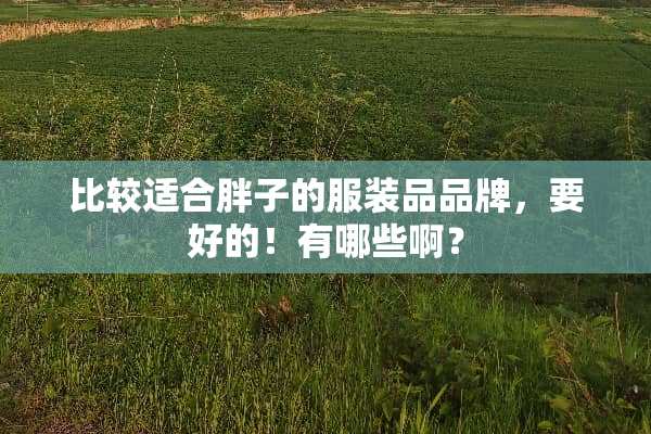 比较适合胖子的服装品品牌，要好的！有哪些啊？