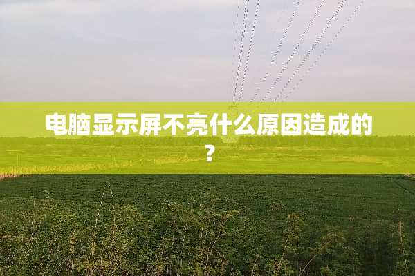 电脑显示屏不亮什么原因造成的？