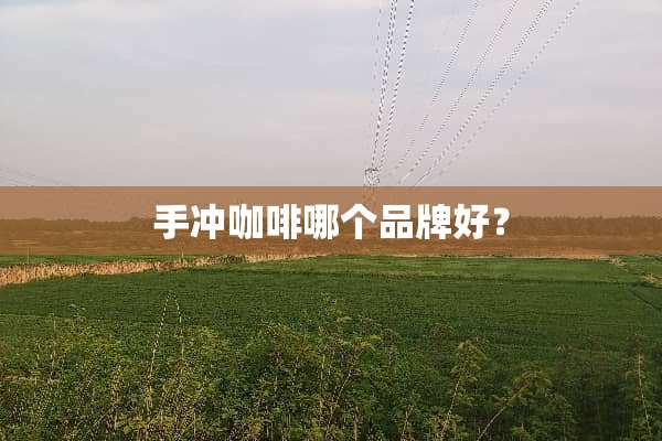 手冲咖啡哪个品牌好？