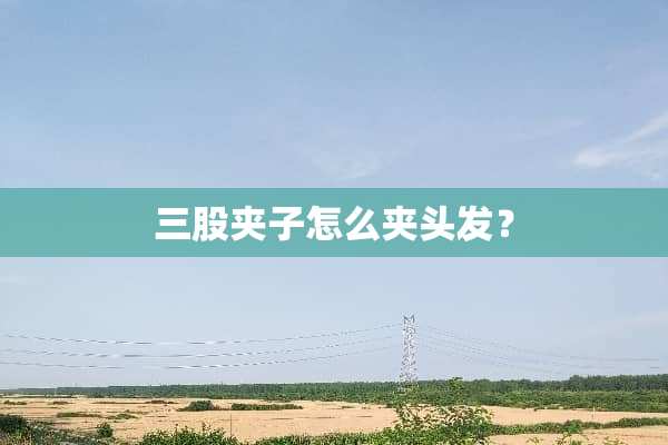 三股夹子怎么夹头发？