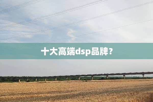 十大高端dsp品牌？