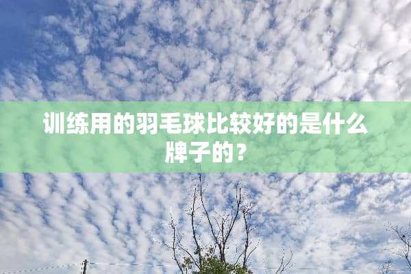 训练用的羽毛球比较好的是什么牌子的？