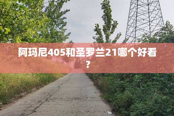阿玛尼405和圣罗兰21哪个好看？