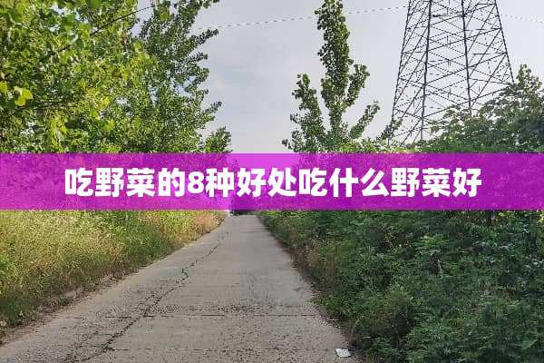 吃野菜的8种好处吃什么野菜好