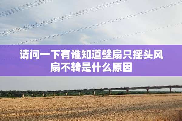 请问一下有谁知道壁扇只摇头风扇不转是什么原因