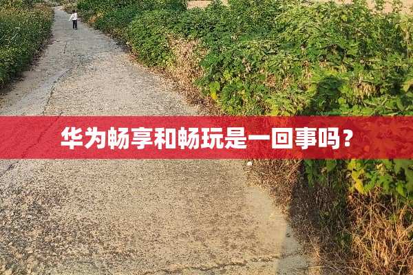 华为畅享和畅玩是一回事吗？