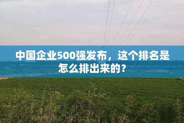 中国企业500强发布，这个排名是怎么排出来的？