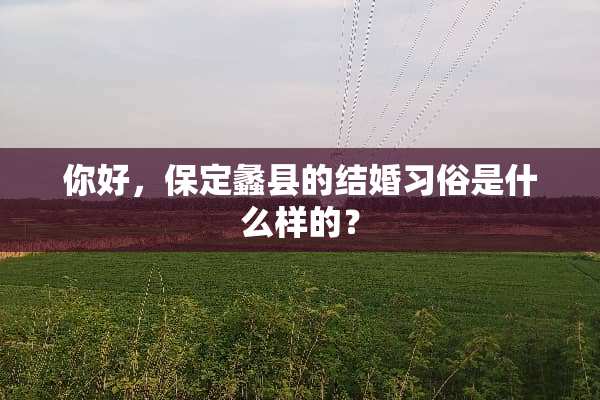 你好，保定蠡县的结婚习俗是什么样的？