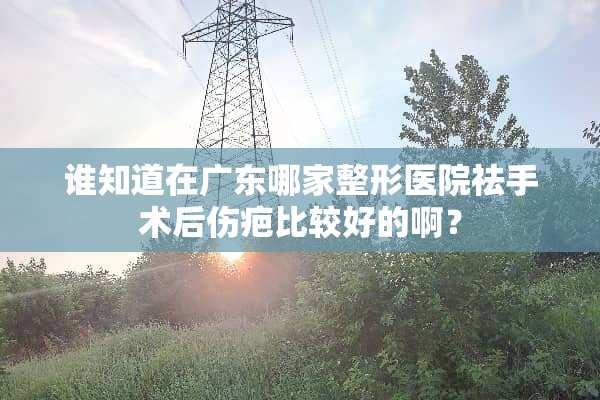 谁知道在广东哪家整形医院祛手术后伤疤比较好的啊？