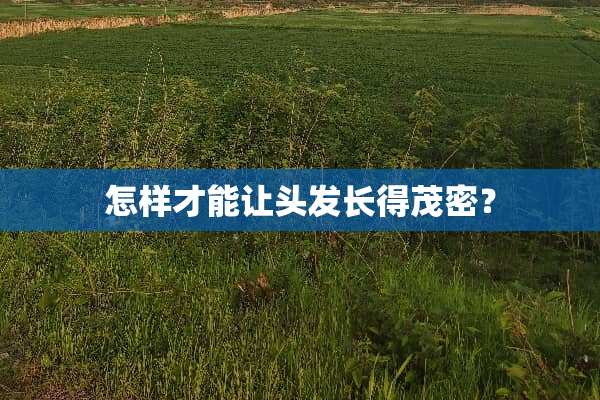 怎样才能让头发长得茂密？