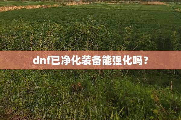 dnf已净化装备能强化吗？