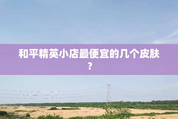 和平精英小店最便宜的几个皮肤？