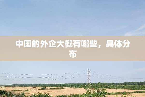 中国的外企大概有哪些，具体分布