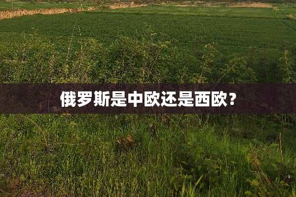 俄罗斯是中欧还是西欧？