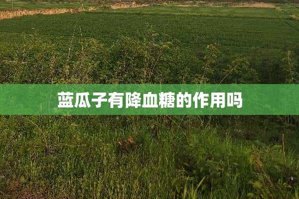 蓝瓜子有降血糖的作用吗