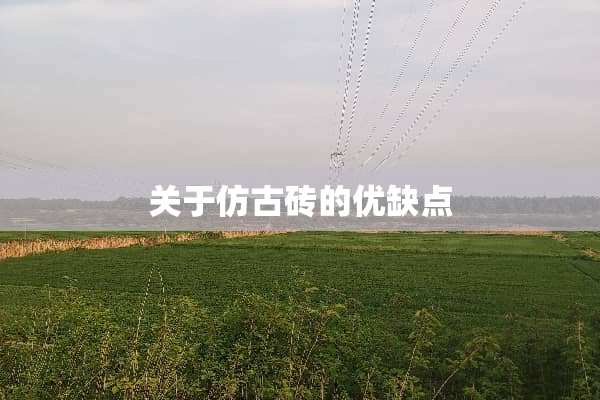 关于仿古砖的优缺点
