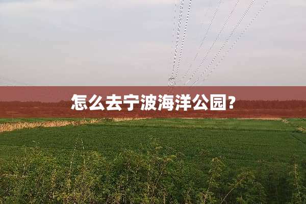 怎么去宁波海洋公园？