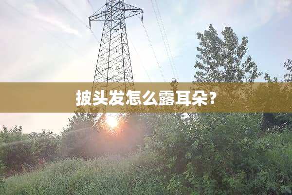 披头发怎么露耳朵？