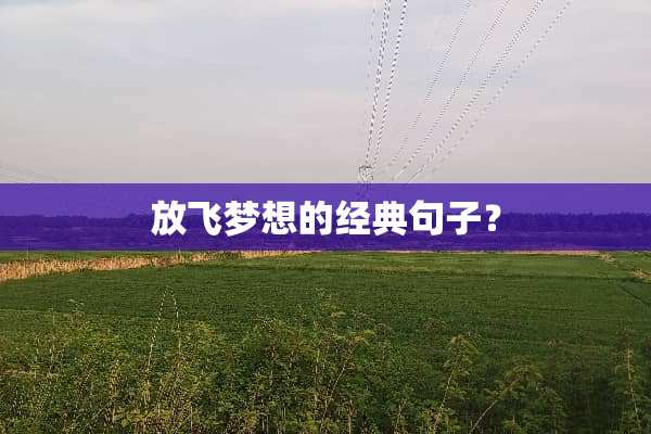 放飞梦想的经典句子？