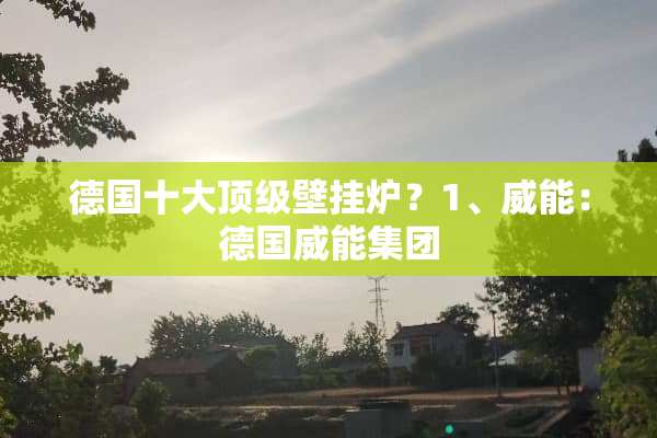 德国十大**壁挂炉？1、威能：德国威能集团