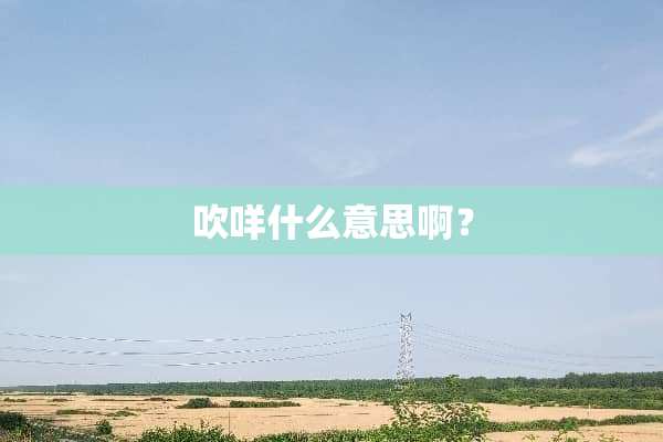 吹咩什么意思啊？