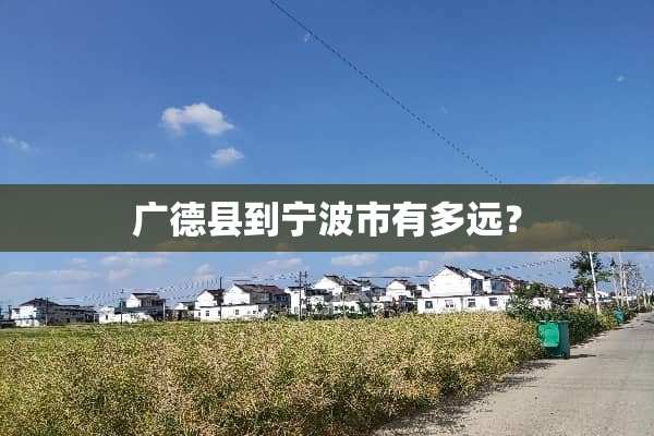 广德县到宁波市有多远？
