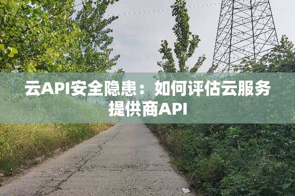 云API安全隐患：如何评估云服务提供商API