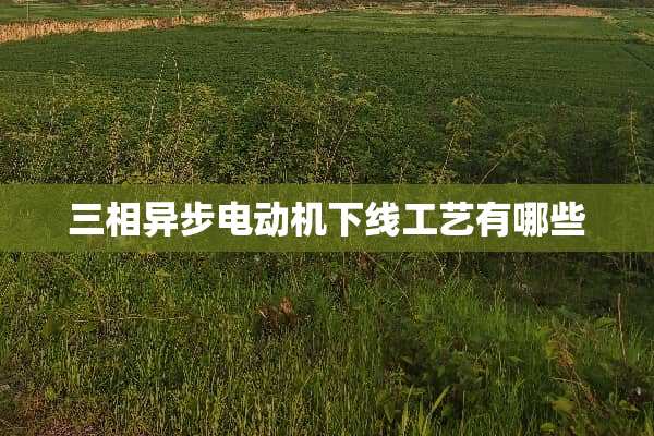 三相异步电动机下线工艺有哪些
