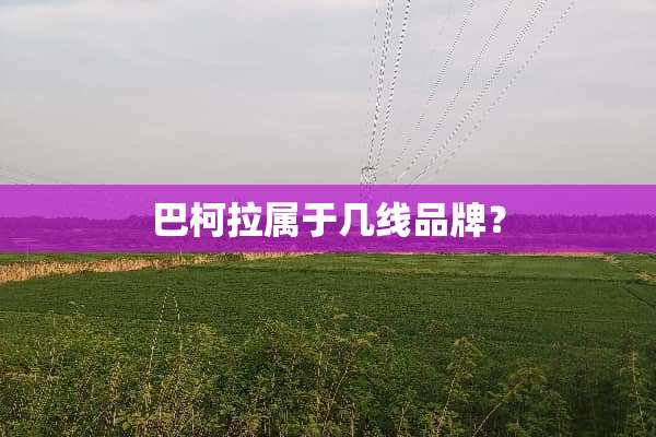 巴柯拉属于几线品牌？