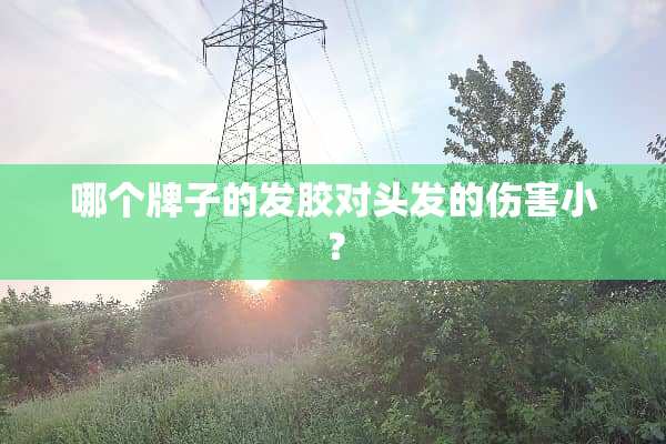 哪个牌子的发胶对头发的伤害小？