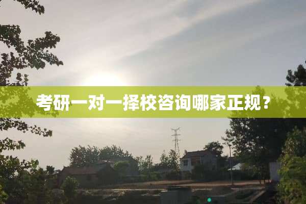 考研一对一择校咨询哪家正规？