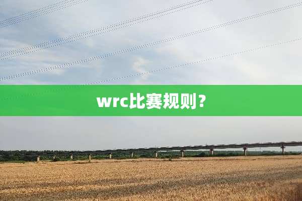 wrc比赛规则？
