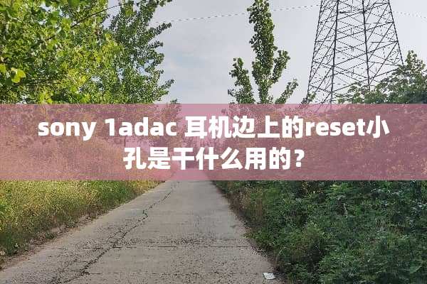 sony 1adac 耳机边上的reset小孔是干什么用的？