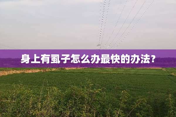 身上有虱子怎么办最快的办法？