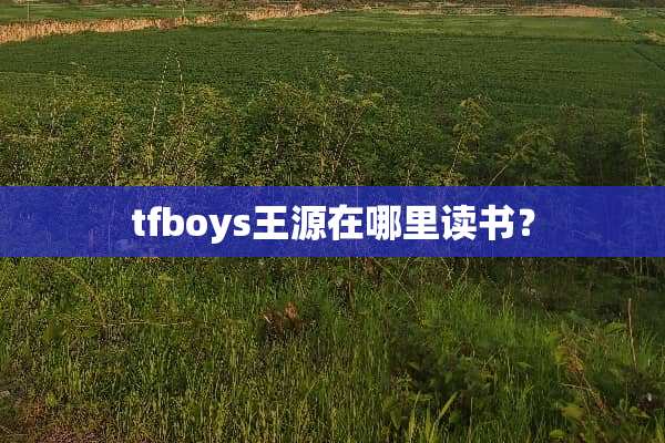 tfboys王源在哪里读书？