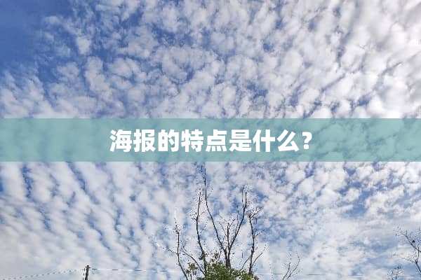 海报的特点是什么？