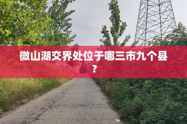 微山湖交界处位于哪三市九个县？