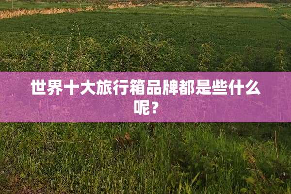 世界十大旅行箱品牌都是些什么呢？
