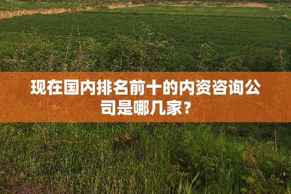 现在国内排名前十的内资咨询公司是哪几家？