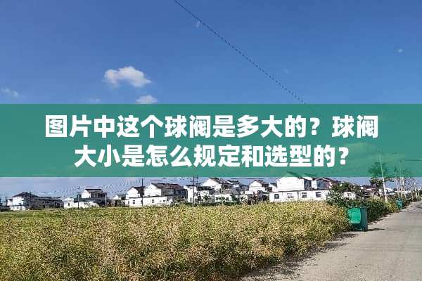 图片中这个球阀是多大的？球阀大小是怎么规定和选型的？