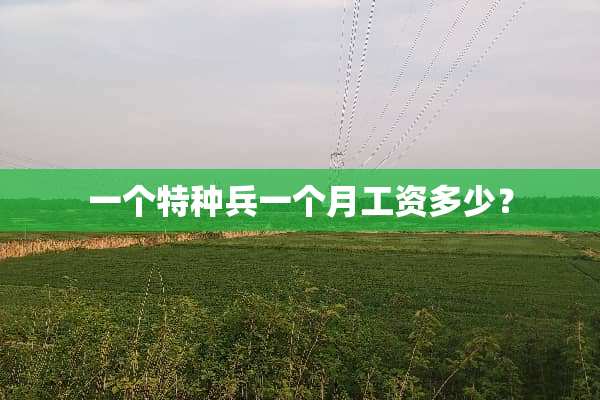 一个特种兵一个月工资多少？