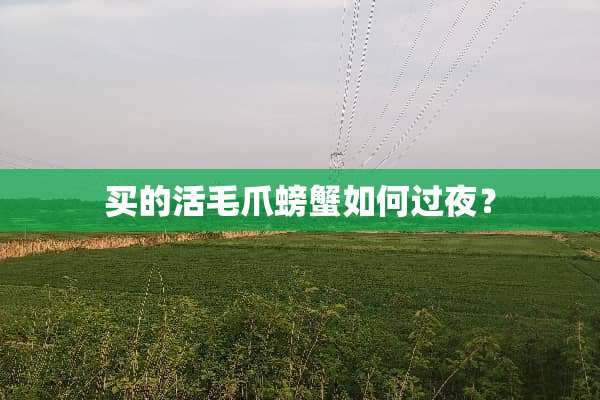 买的活毛爪螃蟹如何过夜？