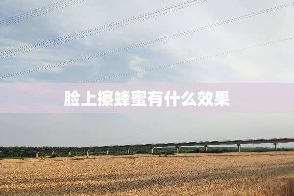脸上擦蜂蜜有什么效果