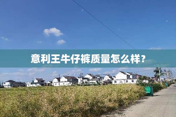 意利王牛仔裤质量怎么样？