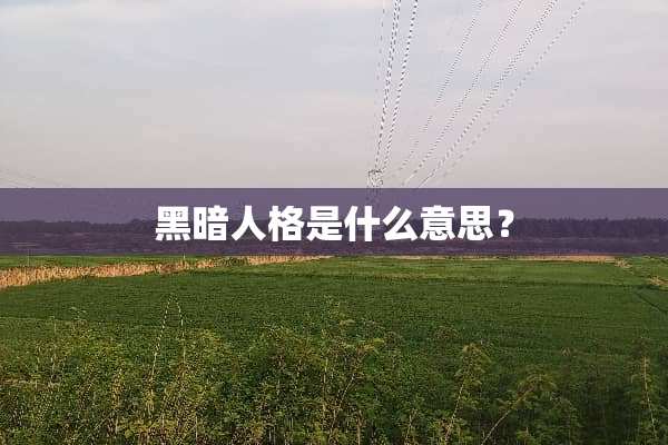 黑暗人格是什么意思？