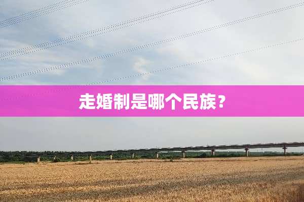 走婚制是哪个民族？