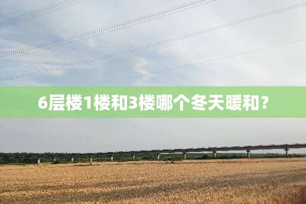 6层楼1楼和3楼哪个冬天暖和？