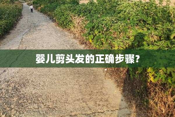 婴儿剪头发的正确步骤？